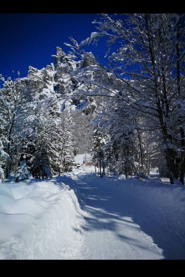 Sentier vers le chalet