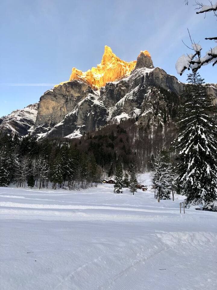 Cirque du Fer-à-Cheval