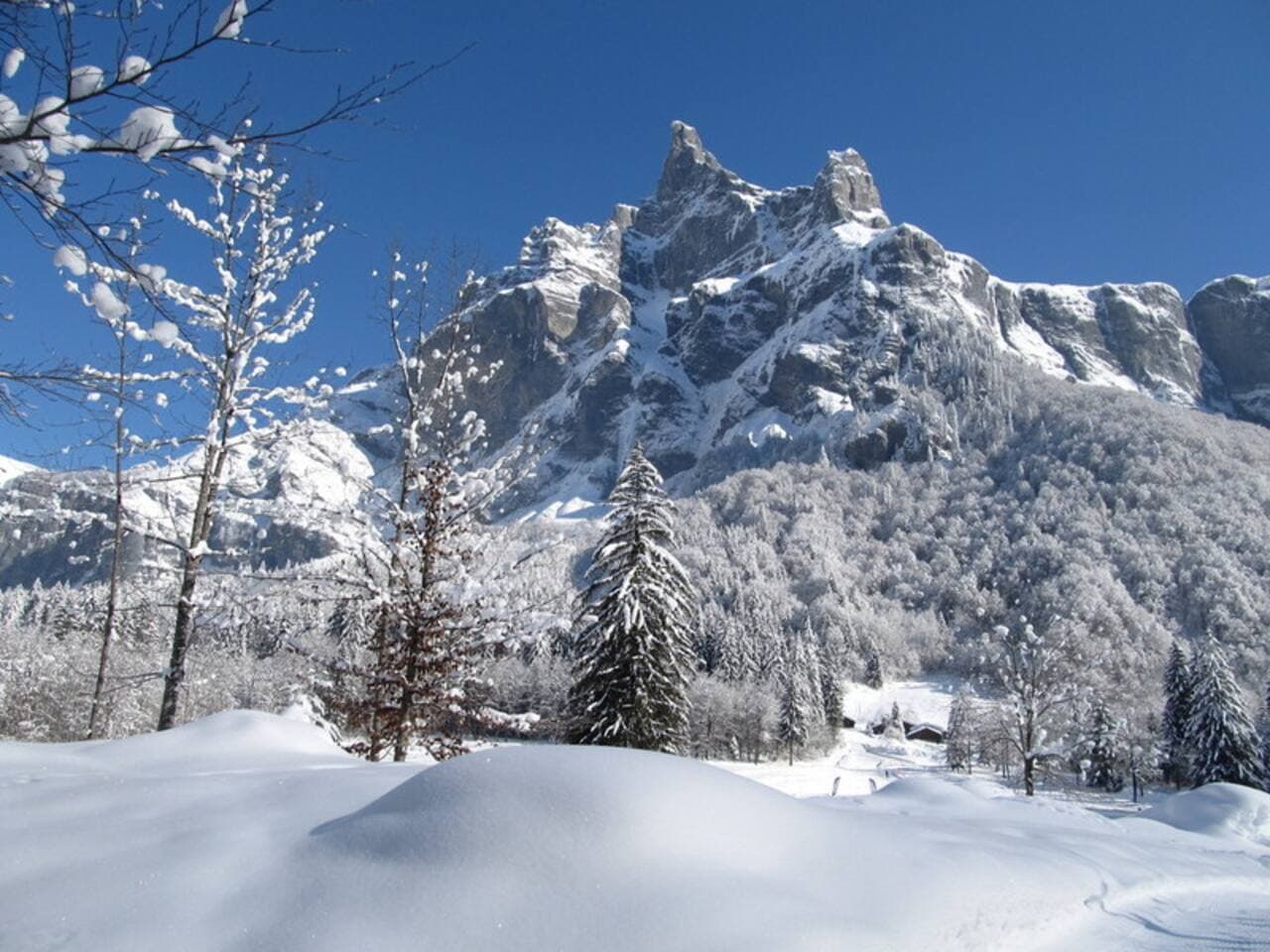 Massif alpin